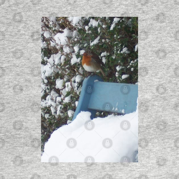 Snowy Christmas Red Robin by Bucklandcrafts